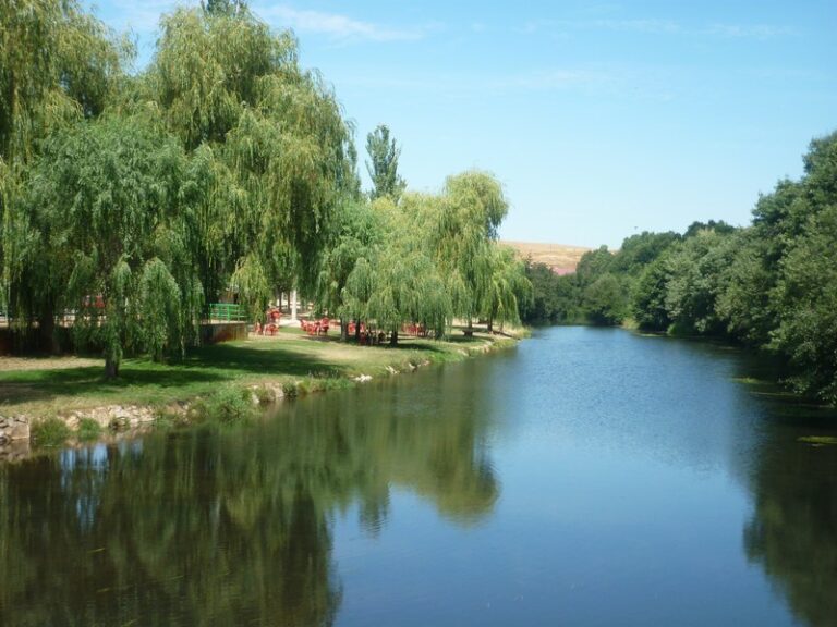 Playa fluvial con chiringuito 2