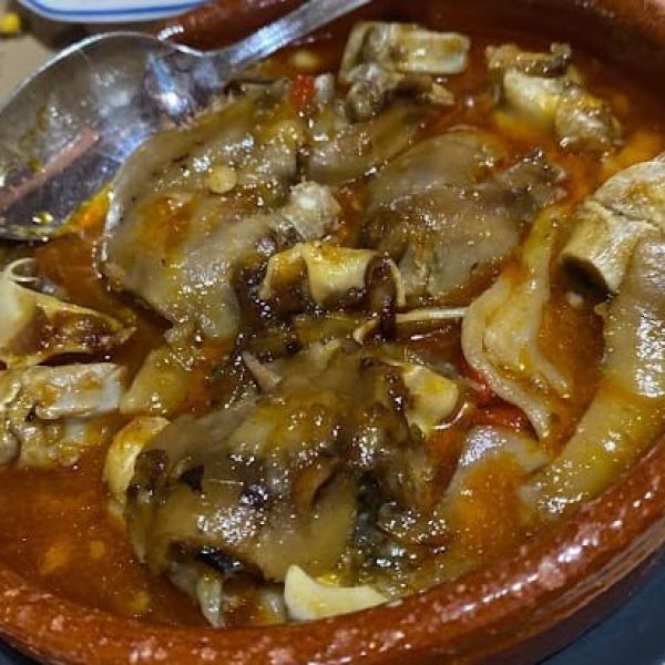 tapa de callos 1